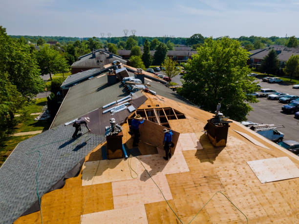 24/7 Emergency Metal Roofing experts in Paris, TX